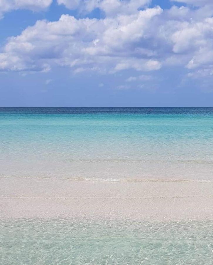 Manidibianco Apulian Relaxing Stay 图里 外观 照片